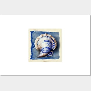 Vintage conch shell Posters and Art